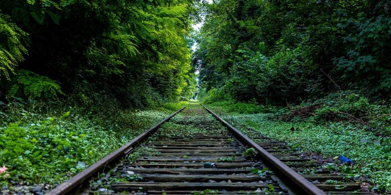 从UGC到PGC：技术论坛与开发者社区的内容质量升级路径