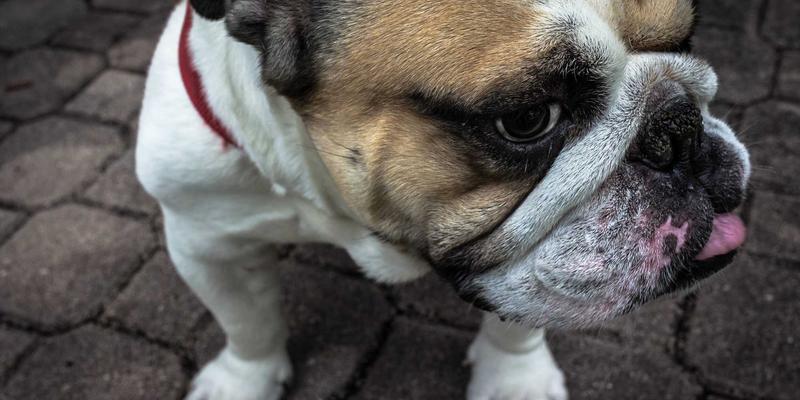 从兴趣爱好到学习分享：如何提升女性在开发者社区的参与度