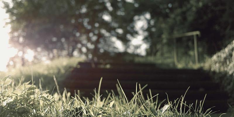 垂直技术论坛的生存之道：从AI、区块链到物联网的兴趣社区深度运营指南