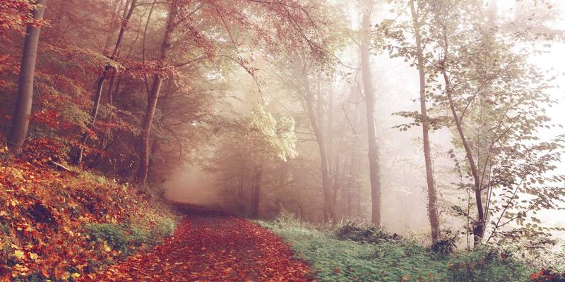 开发者社区与技术论坛的危机管理：化解技术争议、清除虚假信息、修复社区冲突的实战指南