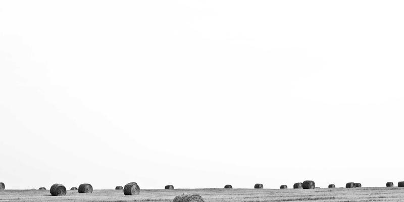 开发者社区如何通过实时互动功能提升IT技术学习与分享效率