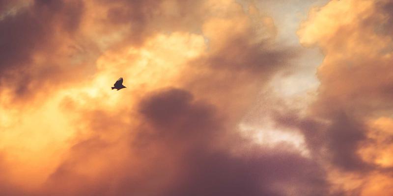 技术论坛13：从IT技术到兴趣社区，构建开发者专属的精神角落