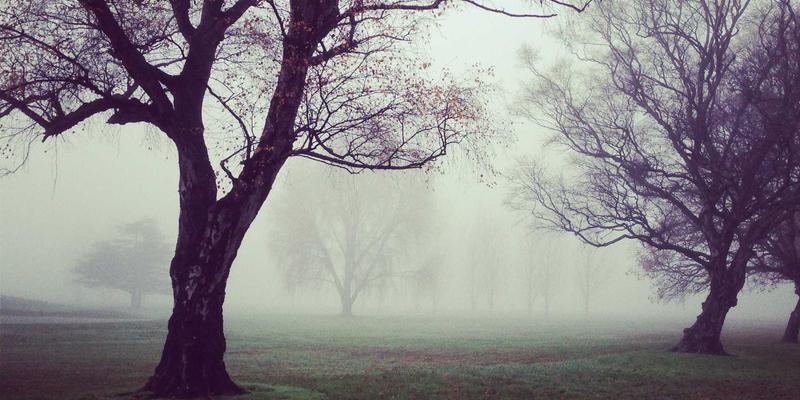 技术论坛82：兴趣社区如何重塑编程学习与分享的未来