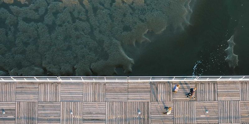 技术论坛与兴趣社区：编程交流如何塑造开发者未来？