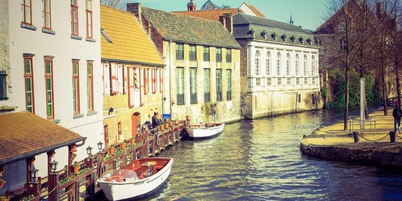 技术论坛中的“大神”效应：核心贡献者如何塑造开发者社区的健康度