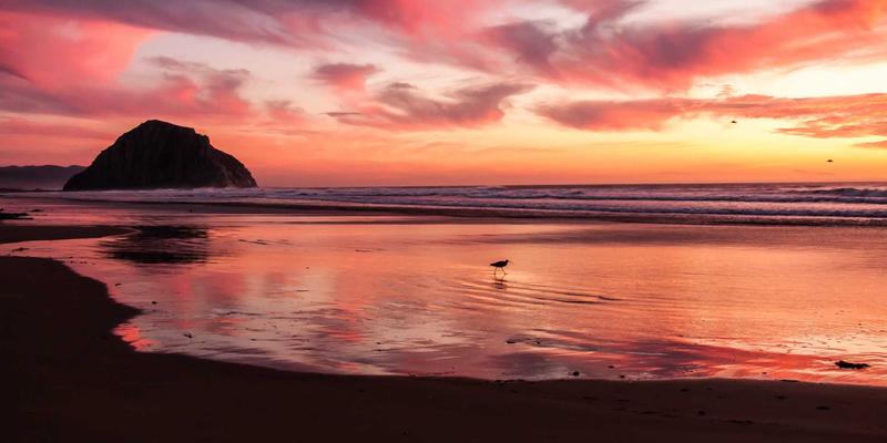 技术论坛代码分享：如何在版权保护与学习分享间找到平衡点