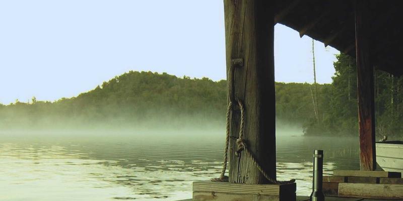技术论坛如何利用AI工具优化内容审核与个性化推荐系统，提升IT技术爱好者学习分享体验