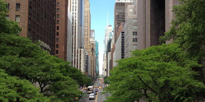 技术论坛如何成功组织线下活动：从编程交流到深度连接的转化策略