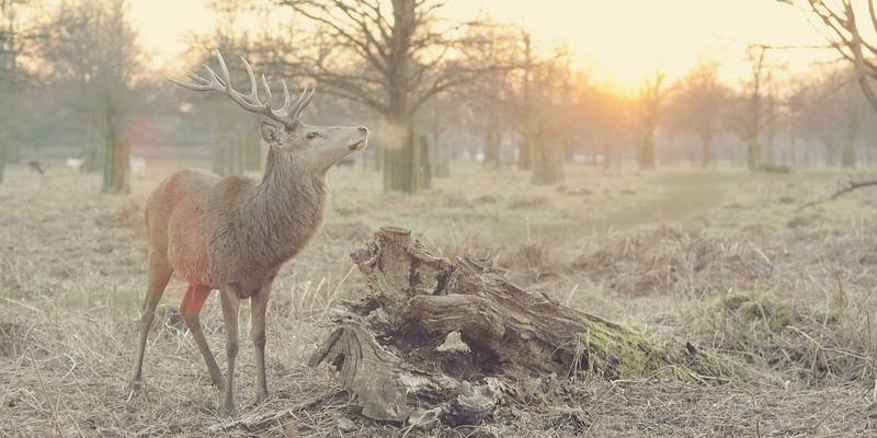 技术论坛如何通过面试经验分享与求职板块运营，打造高价值编程交流社区