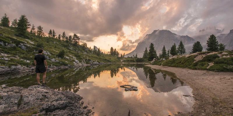 技术论坛应用:开发者社区如何成为编程交流与学习分享的核心阵地