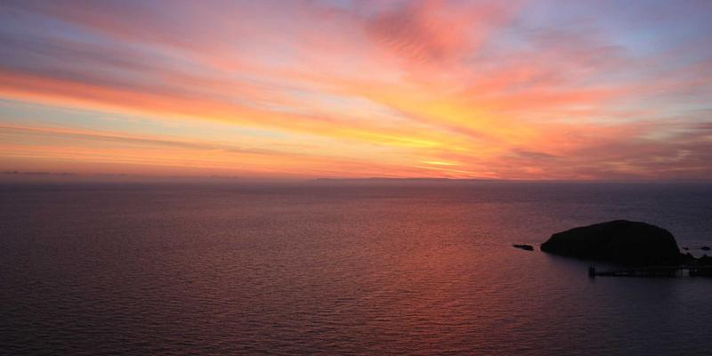 技术论坛移动端体验设计：如何通过编程交流与学习分享提升开发者社区App用户粘性